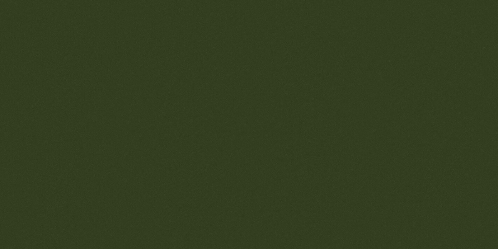 bg web 1 scaled